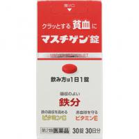 日本脏器制药 贫血 マスチゲン片 30片