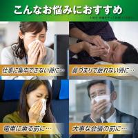 大正制药 パブロン鼻炎アタックJL＜季節性アレルギー専用＞ 8.5G